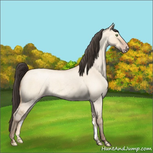 Horse Color:Amber Champagne Roan Dun 