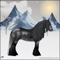 Horse Color:Void White Spotted Brown Chinchilla Roan 