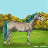 Horse Color:Painted Buckskin Ice Onyx 