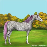Horse Color:Painted Perlino Ice Onyx 