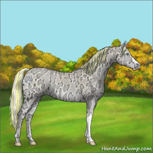 Horse Color:Painted Cremello Ice Onyx 