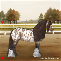Horse Color:Bay Dun Near Leopard 