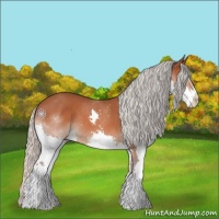 Horse Color:Silver Brown Splash Rabicano 