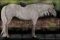Horse Color:Silver Blue Roan 