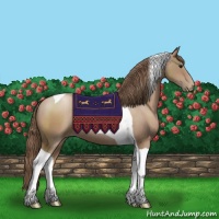 Horse Color:Black Pearl Tobiano Rabicano 