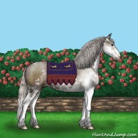 Horse Color:Silver Black Sabino
