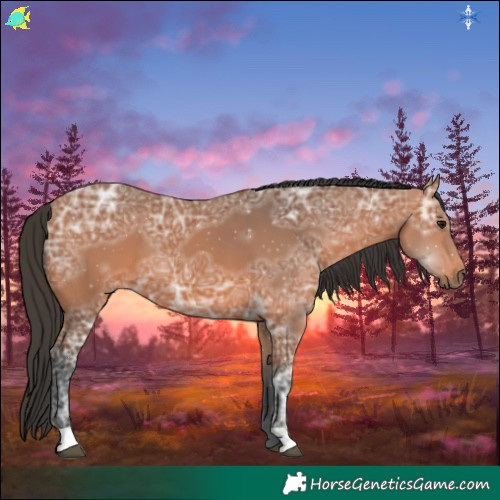 Horse Color:Bay Ice 