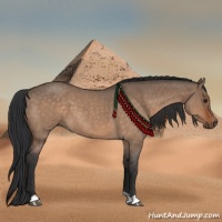 Horse Color:Bay Roan Dun 