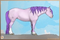 Horse Color:Watercolor Sable Cream Champagne Pearl Tobiano 