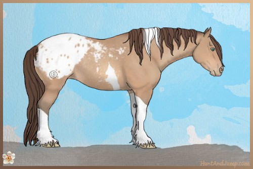 Horse Color:Sable Champagne Tobiano Blanket Rabicano