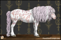 Horse Color:Watercolor Amber Cream Champagne Tobiano Near Leopard 