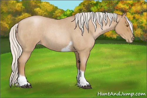 Horse Color:Silver Blue Roan Pearl Tobiano Frame 
