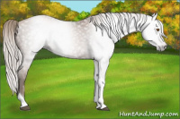Horse Color:Gray Silver Black Pearl Tobiano 