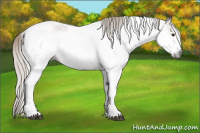 Horse Color:Gray Silver Black Pearl Tobiano Frame