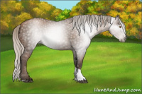 Horse Color:Gray Silver Black Pearl Tobiano