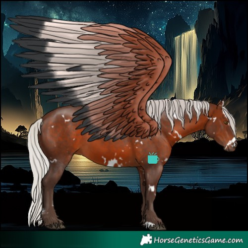 Horse Color:White Spotted Silver Brown 