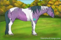 Horse Color:Watercolor Buckskin Ice Tobiano 