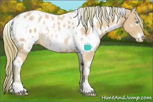 Horse Color:Watercolor White Spotted Perlino Blanket Rabicano 
