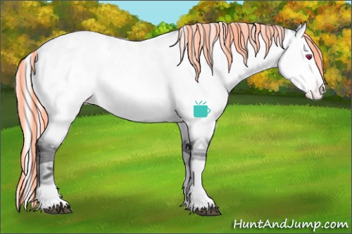 Horse Color:Painted Silver Buckskin Chinchilla Ice Appaloosa 