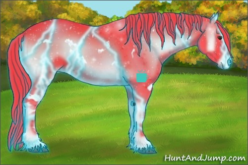 Horse Color:ERROR: UNKNOWN ANOMALY