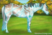 Horse Color:Thunderstruck White Spotted Red Onyx 