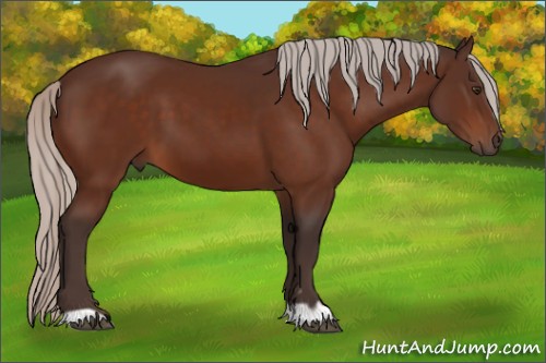 Horse Color:Silver Brown 