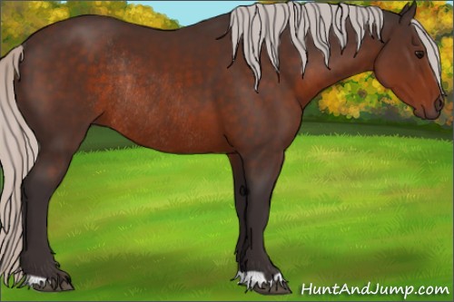 Horse Color:Silver Brown Rabicano