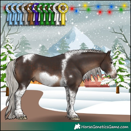 Horse Color:Silver Brown Sabino Tobiano Frame 