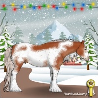 Horse Color:Silver Brown Sabino Tobiano Frame 