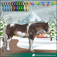 Horse Color:Silver Brown Sabino Tobiano Frame