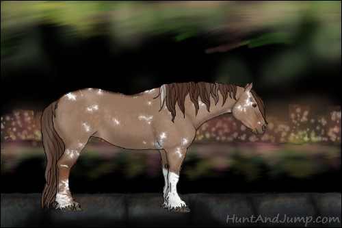 Horse Color:White Spotted Liver Red Dun Tobiano