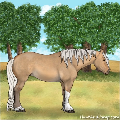 Horse Color:Silver Buckskin Dun Tobiano Rabicano 