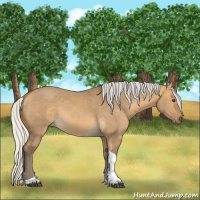 Horse Color:Silver Buckskin Dun Tobiano Rabicano 