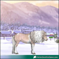 Horse Color:Silver Bay Ice Dun Tobiano 