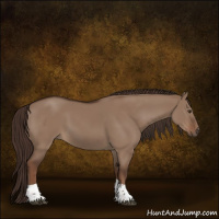Horse Color:Liver Red Dun Tobiano Rabicano 