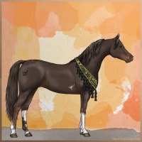 Horse Color:Liver Chestnut Tobiano