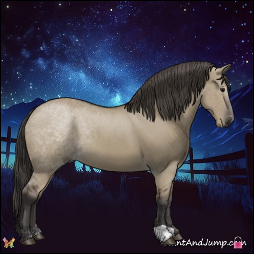 Horse Color:Smoky Grullo 