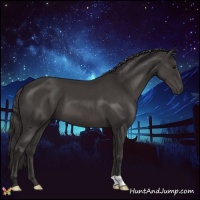 Horse Color:Smoky Black 