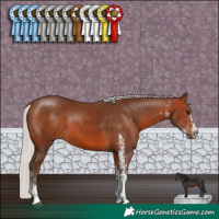 Horse Color:White Spotted Silver Brown