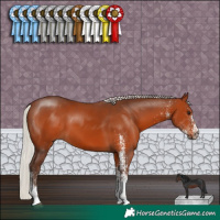 Horse Color:White Spotted Silver Brown