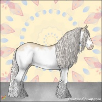 Horse Color:Silver Classic Champagne Dun Splash Frame 