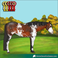 Horse Color:Brown Sabino
