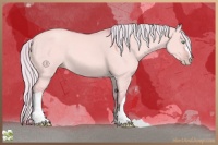 Horse Color:Watercolor Silver Amber Cream Champagne Dun 