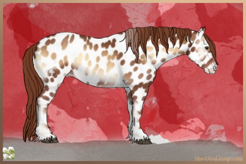 Horse Color:Red Onyx Appaloosa Rabicano