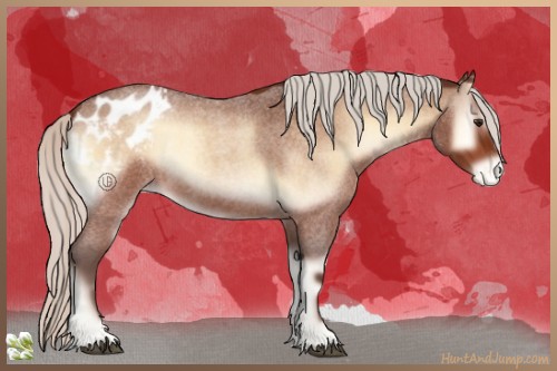Horse Color:Silver Brown Roan Onyx Appaloosa