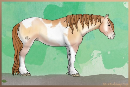 Horse Color:Bay Pearl Onyx Tobiano Rabicano