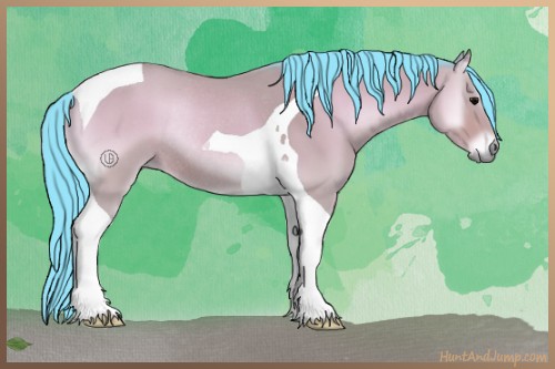 Horse Color:Watercolor Bay Onyx Tobiano Rabicano