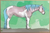 Horse Color:Watercolor Bay Onyx Tobiano Rabicano 