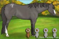 Horse Color:Grullo Varnish 
