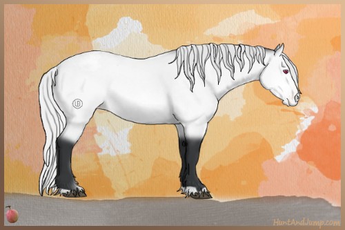 Horse Color:Silver Bay Chinchilla Snowcap Rabicano